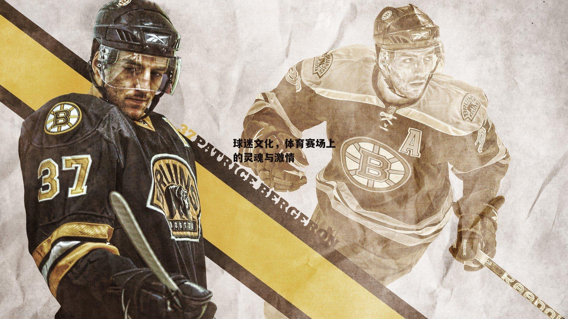 球迷文化,体育赛场上的灵魂与激情